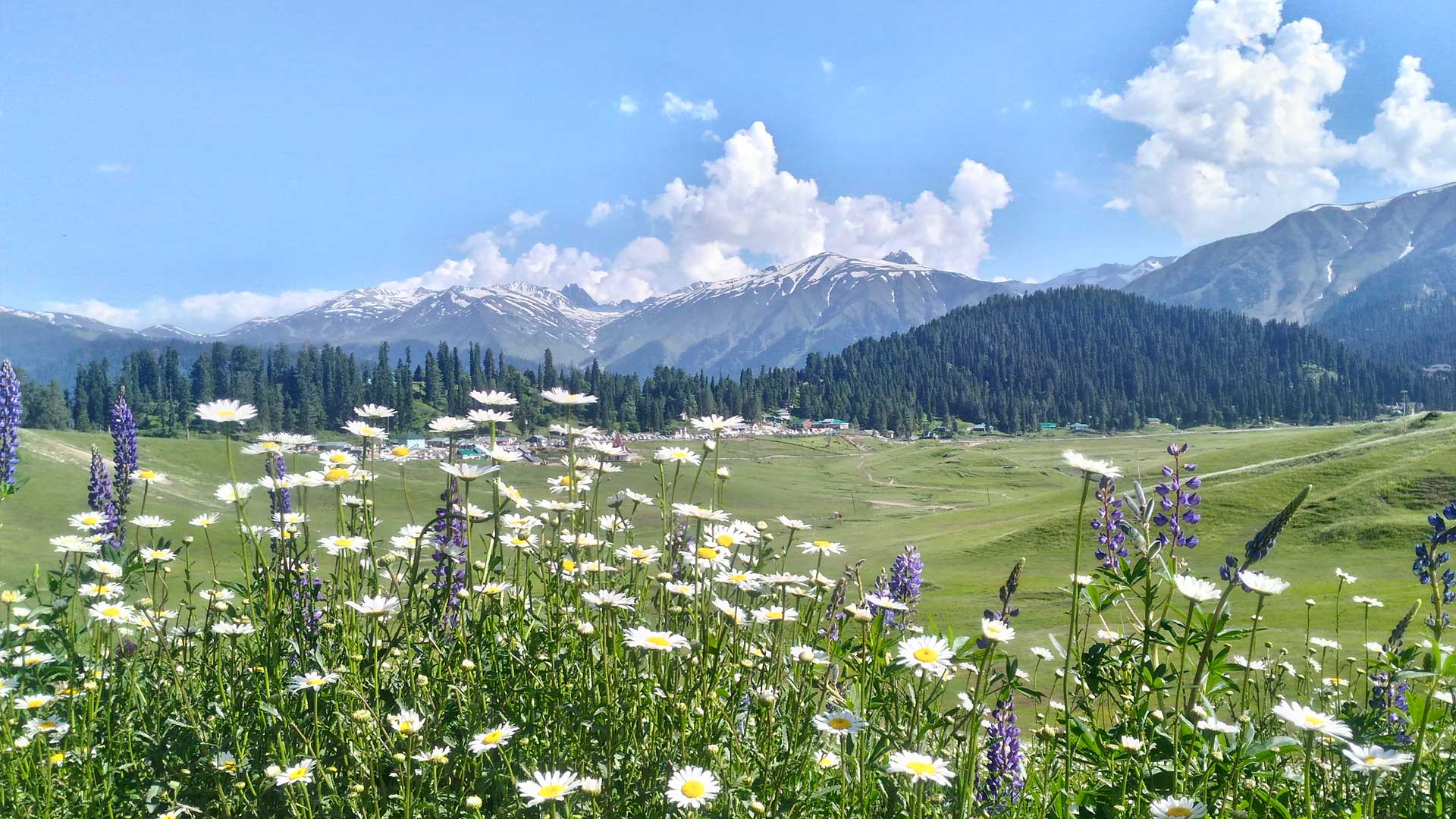 Gulmarg (1)